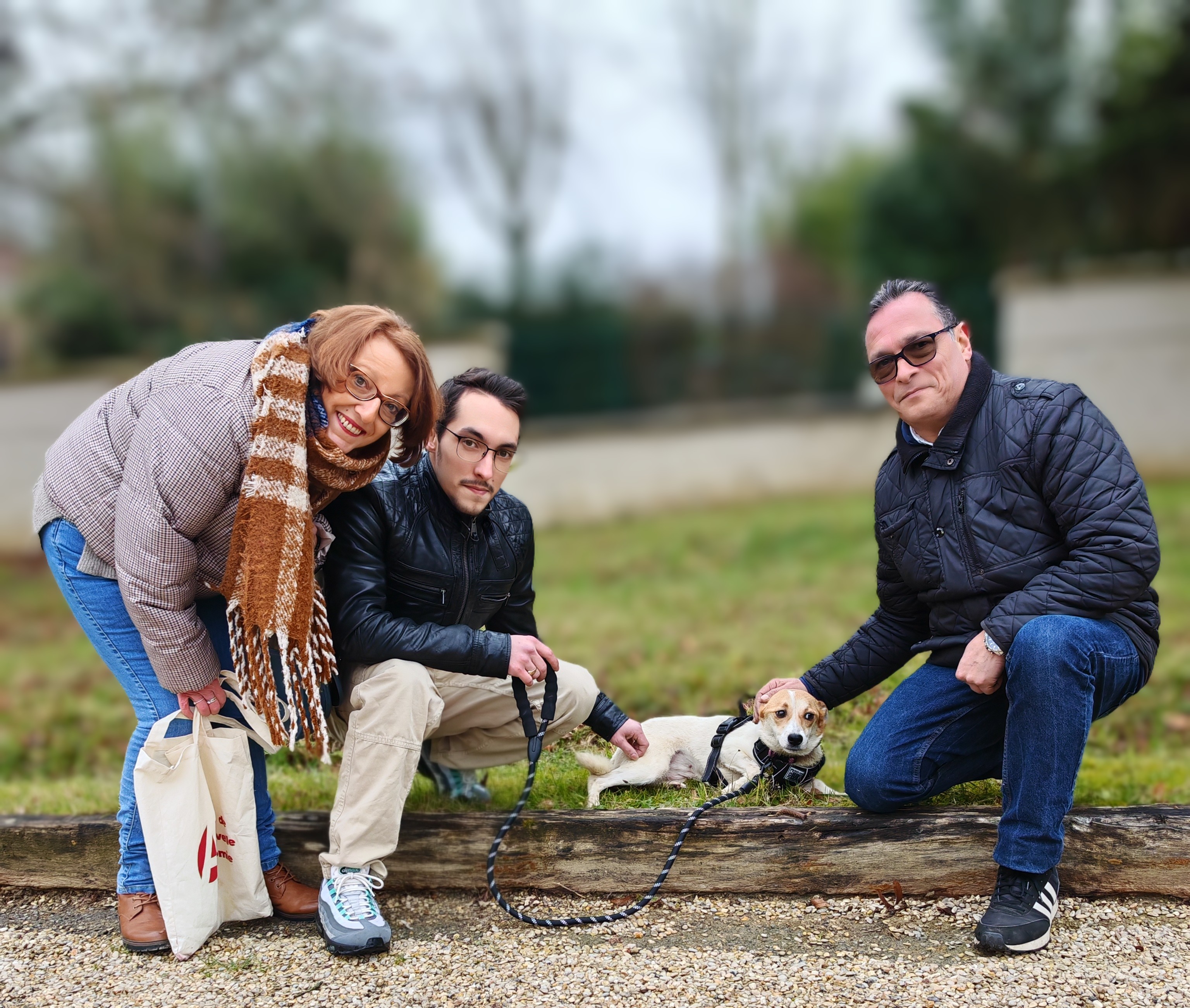 Chiens à adopter