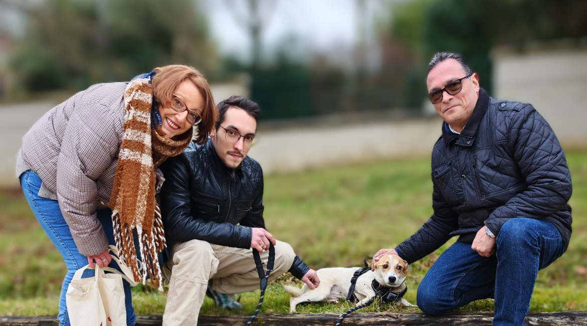 Chiens à adopter