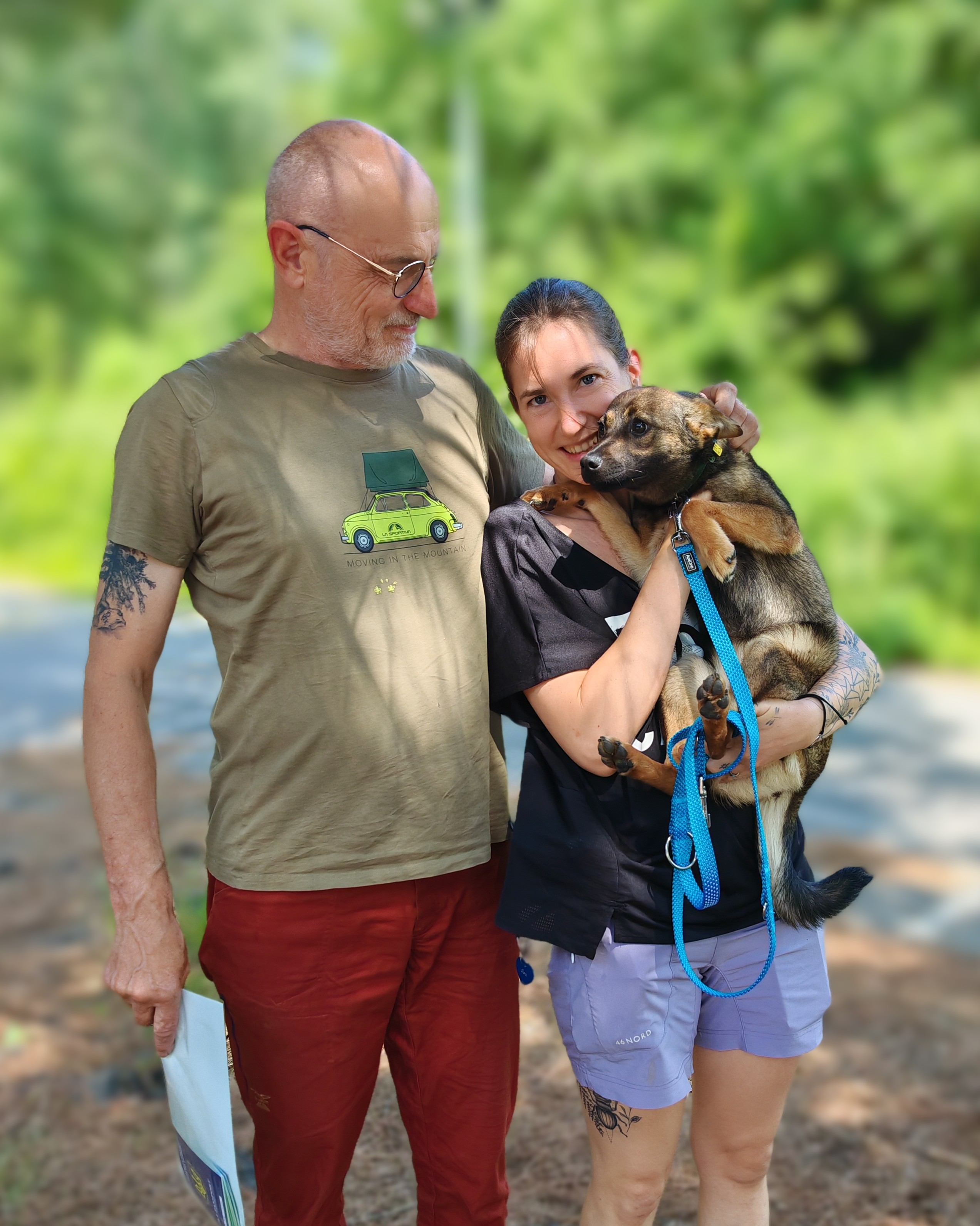 Chiens à adopter