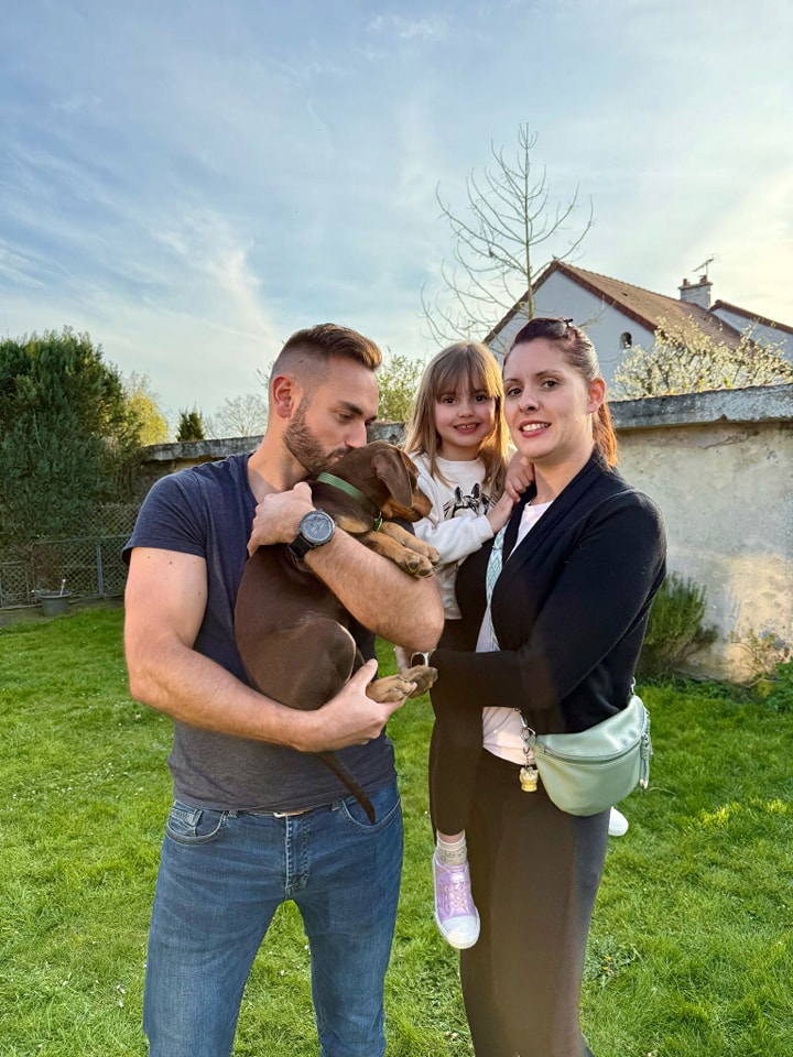 Chiens à adopter