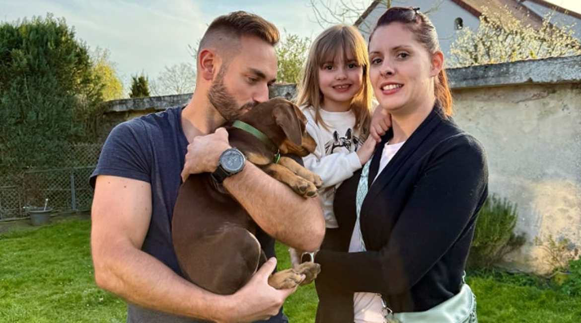 Chiens à adopter
