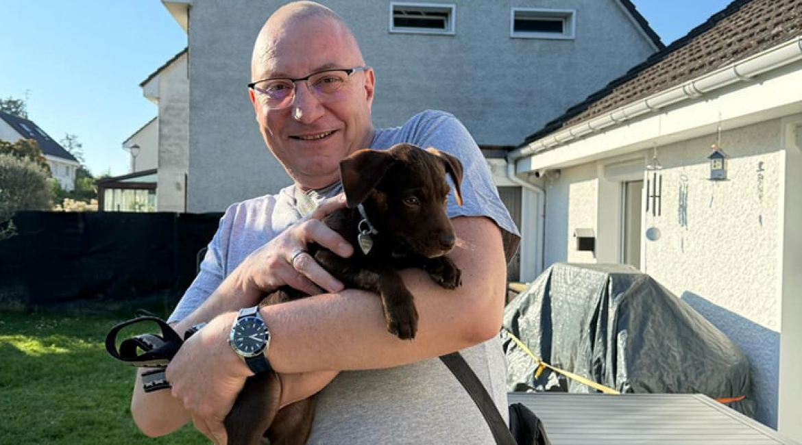 Chiens à adopter