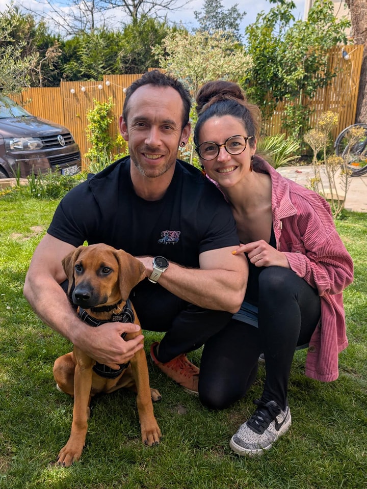 Chiens à adopter