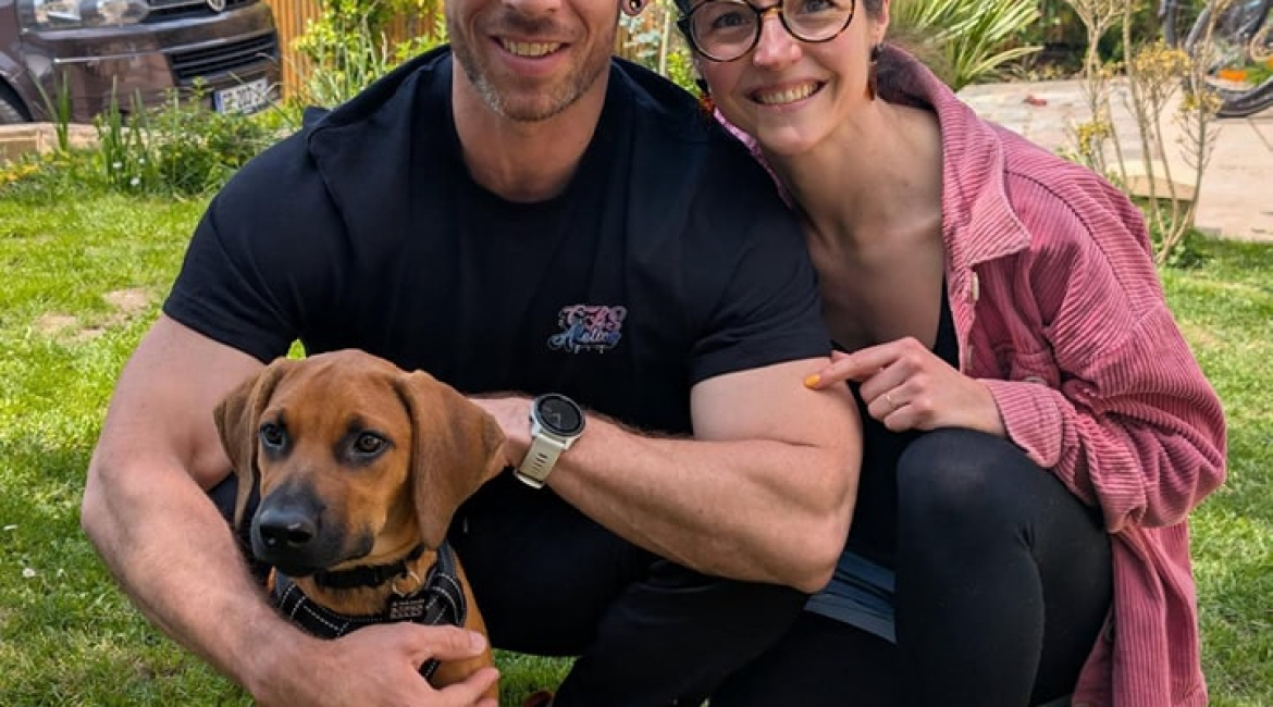 Chiens à adopter
