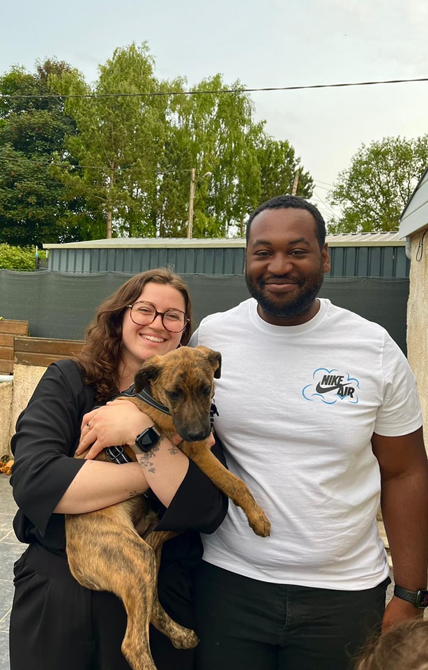 Chiens à adopter