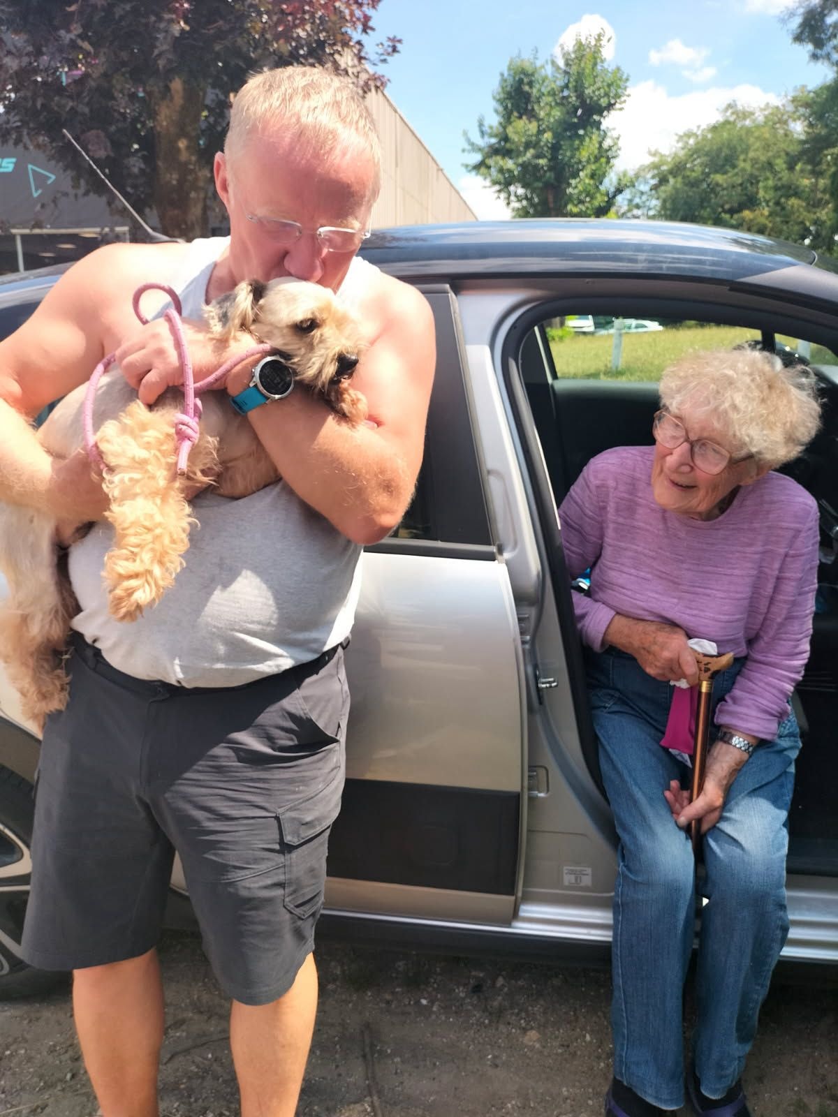 Chiens à adopter