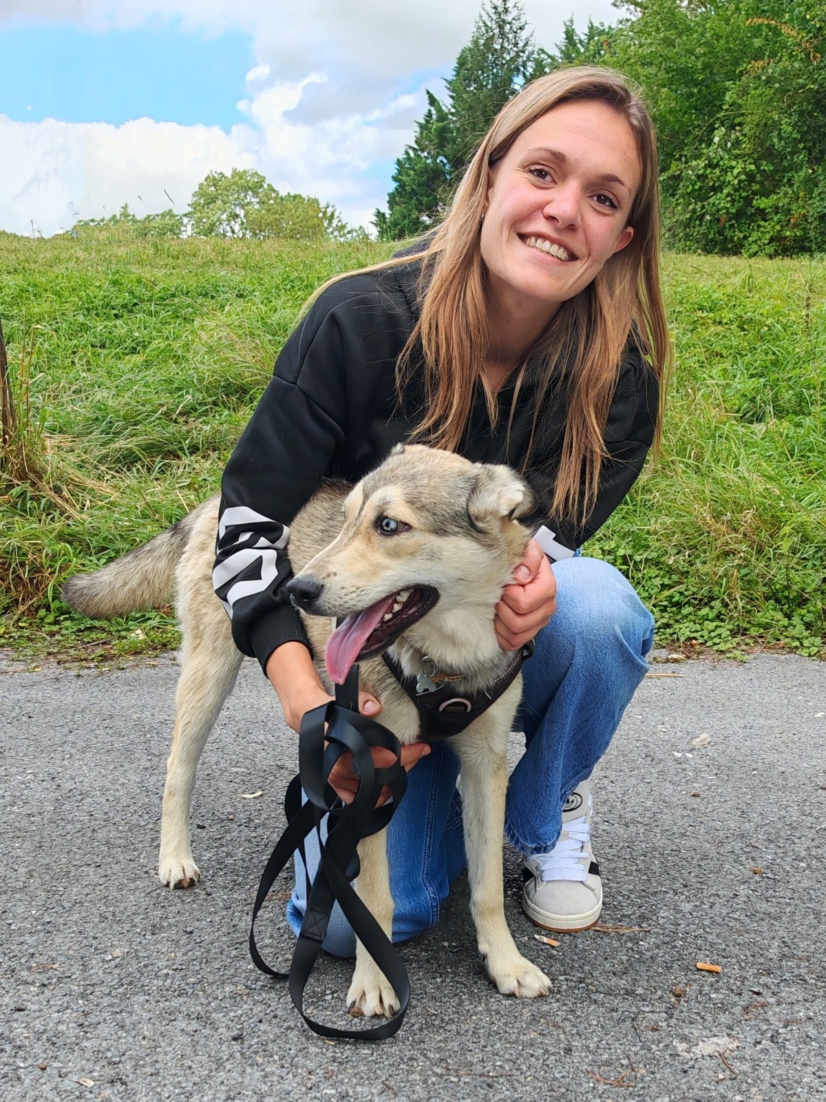Chiens à adopter