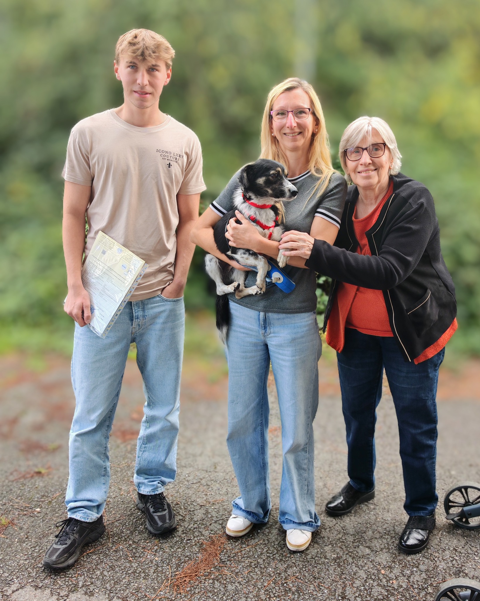 Chiens à adopter