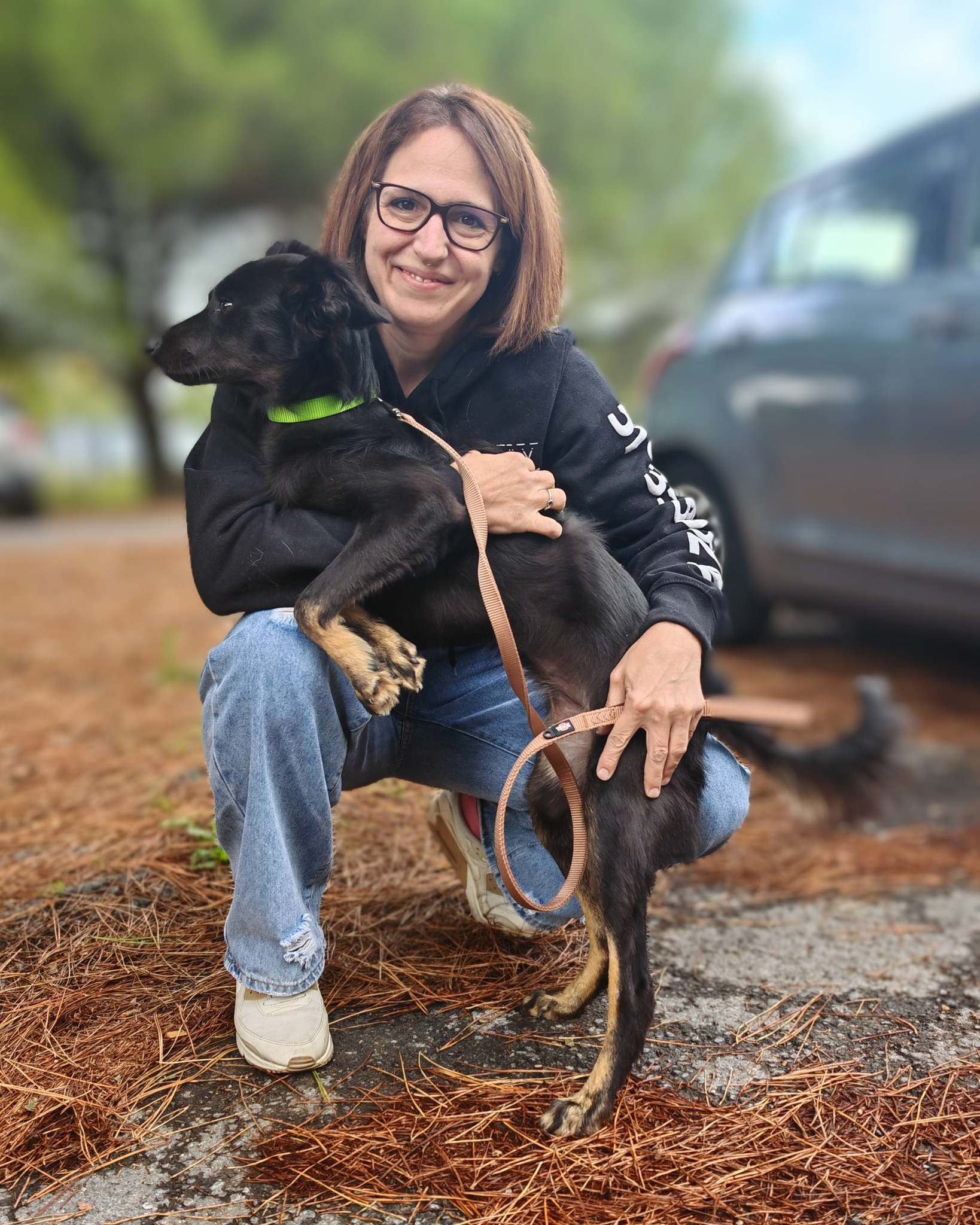 Chiens à adopter