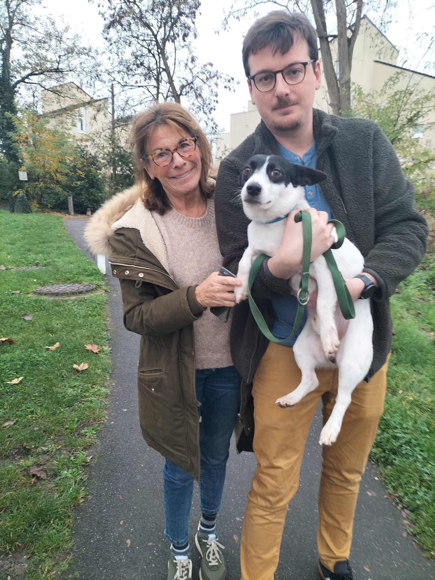 Chiens à adopter