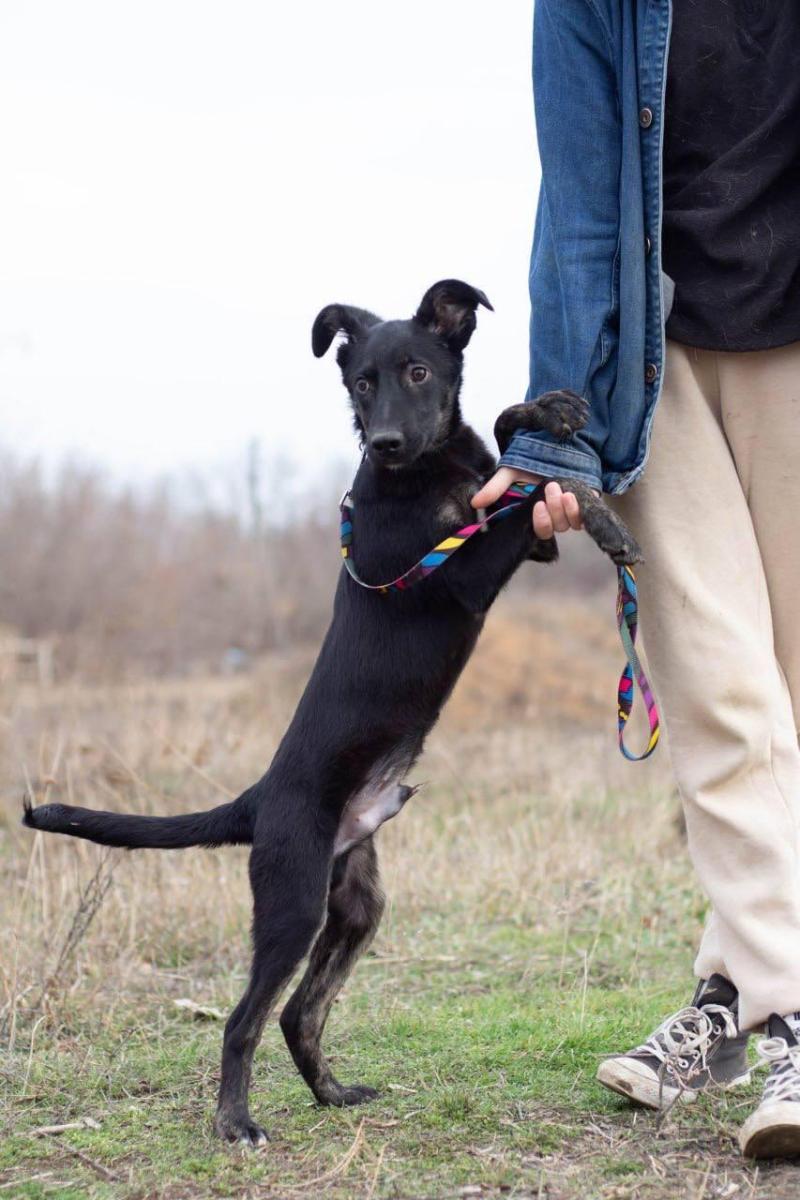 WhatsApp-Image-2025-04-09-at-14273221