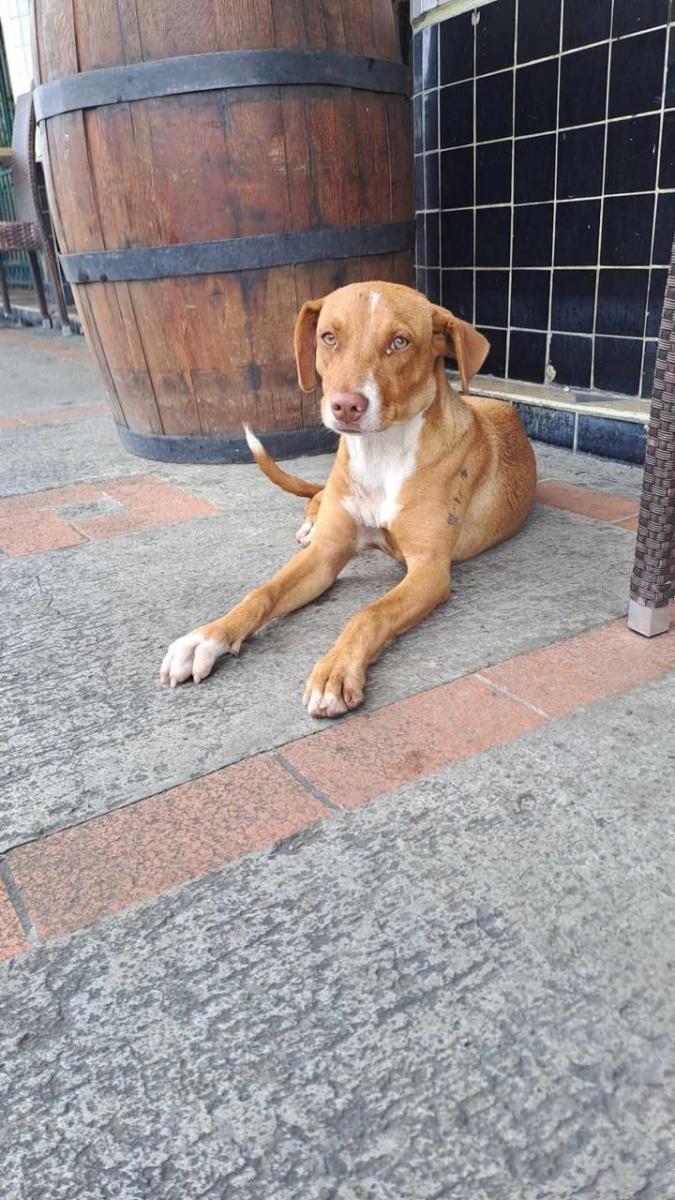 49291649210298760459441041263543949512363058n