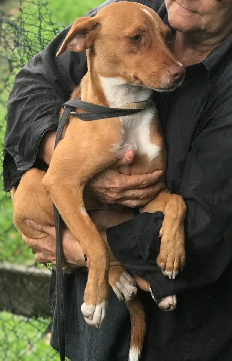 WhatsApp-Image-2025-05-24-at-183608