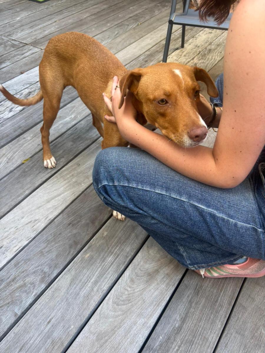 WhatsApp-Image-2025-06-11-at-210652