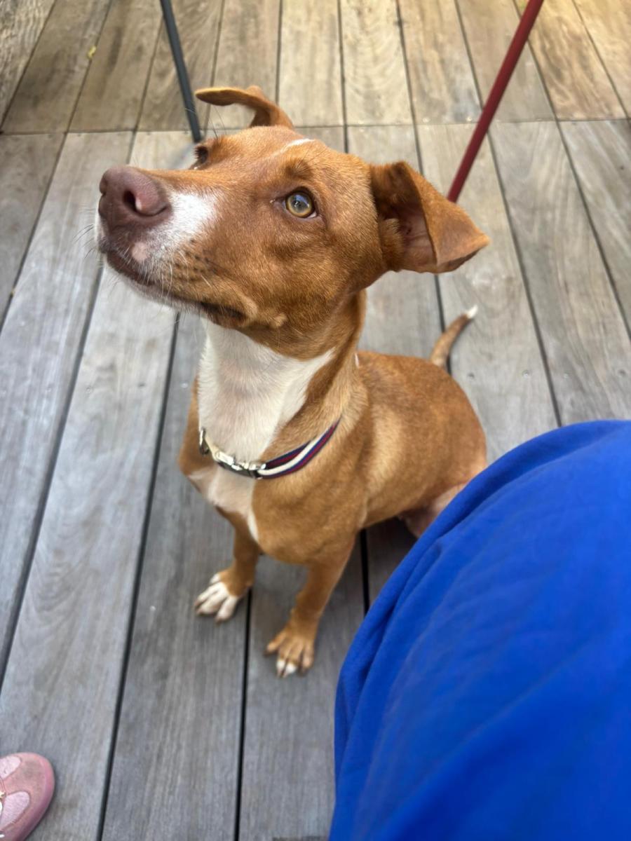 WhatsApp-Image-2025-06-11-at-2107000