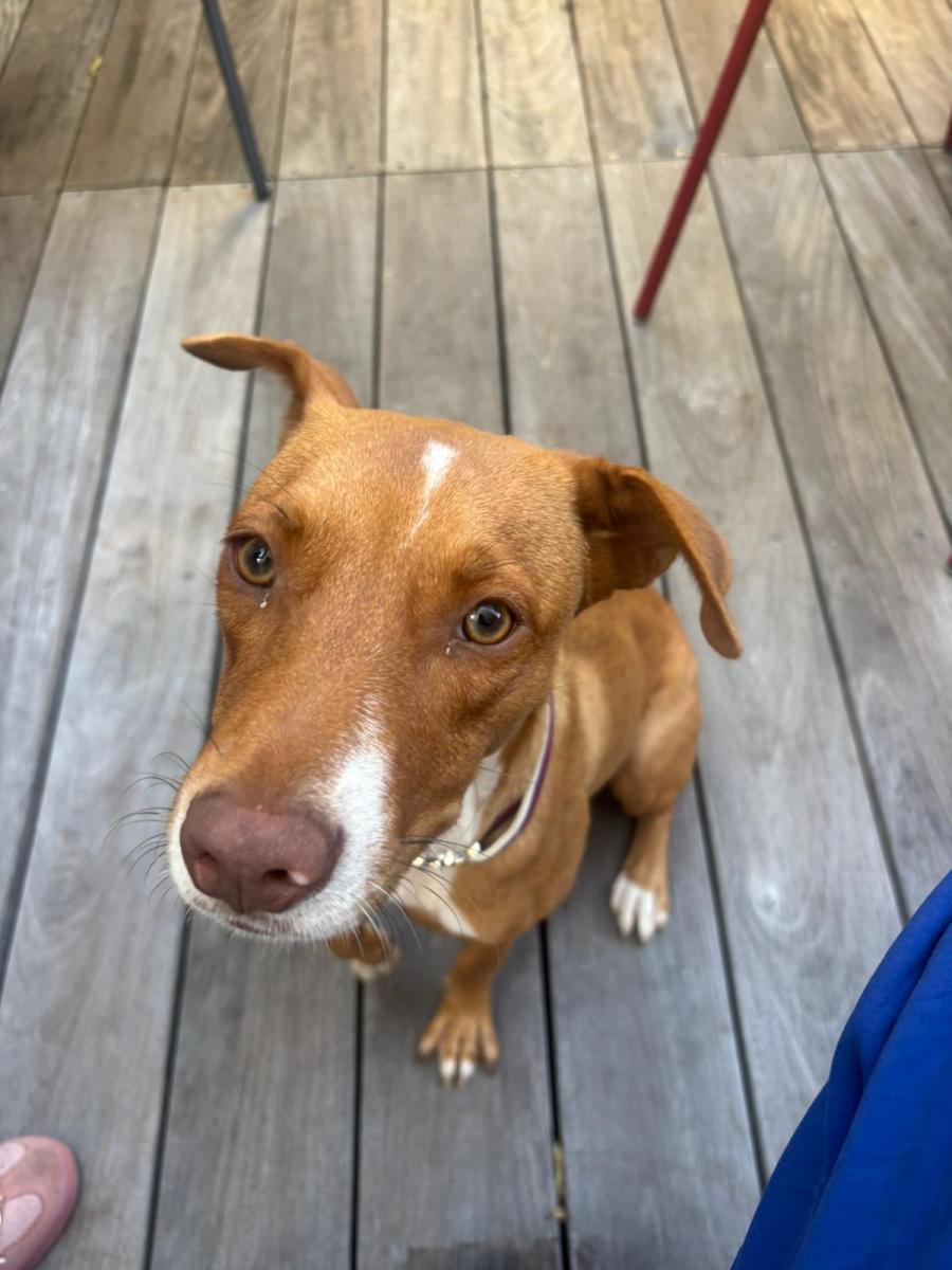 WhatsApp-Image-2025-06-11-at-2107103