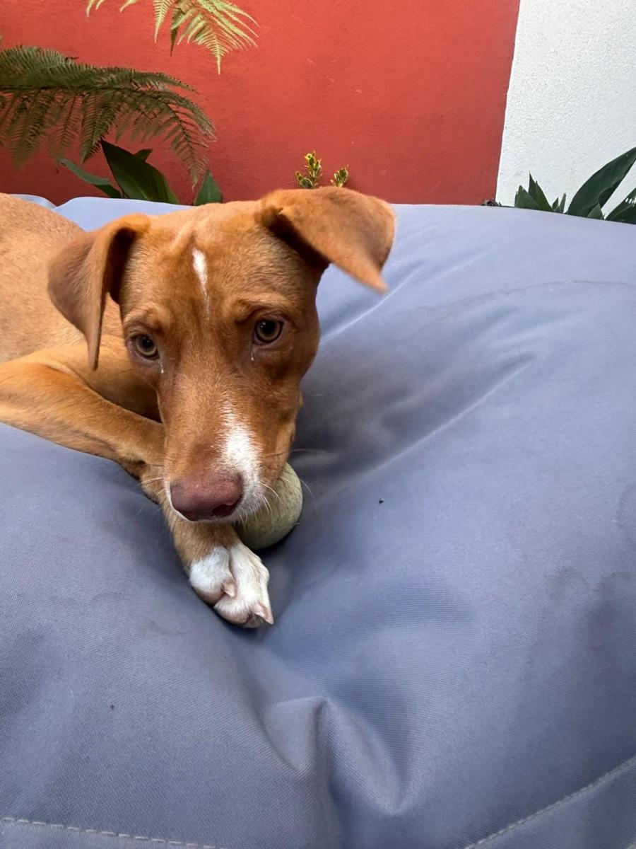 WhatsApp-Image-2025-06-11-at-2107116