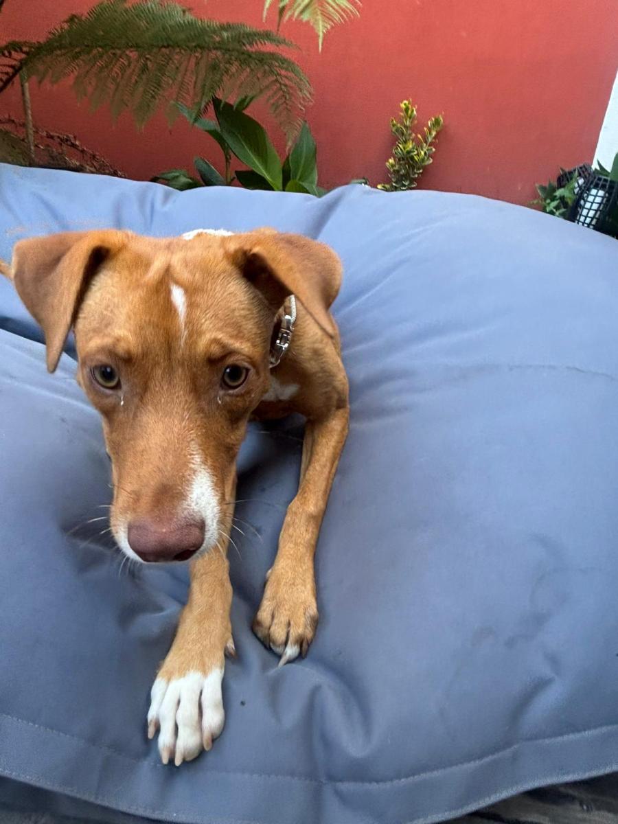 WhatsApp-Image-2025-06-11-at-2107118