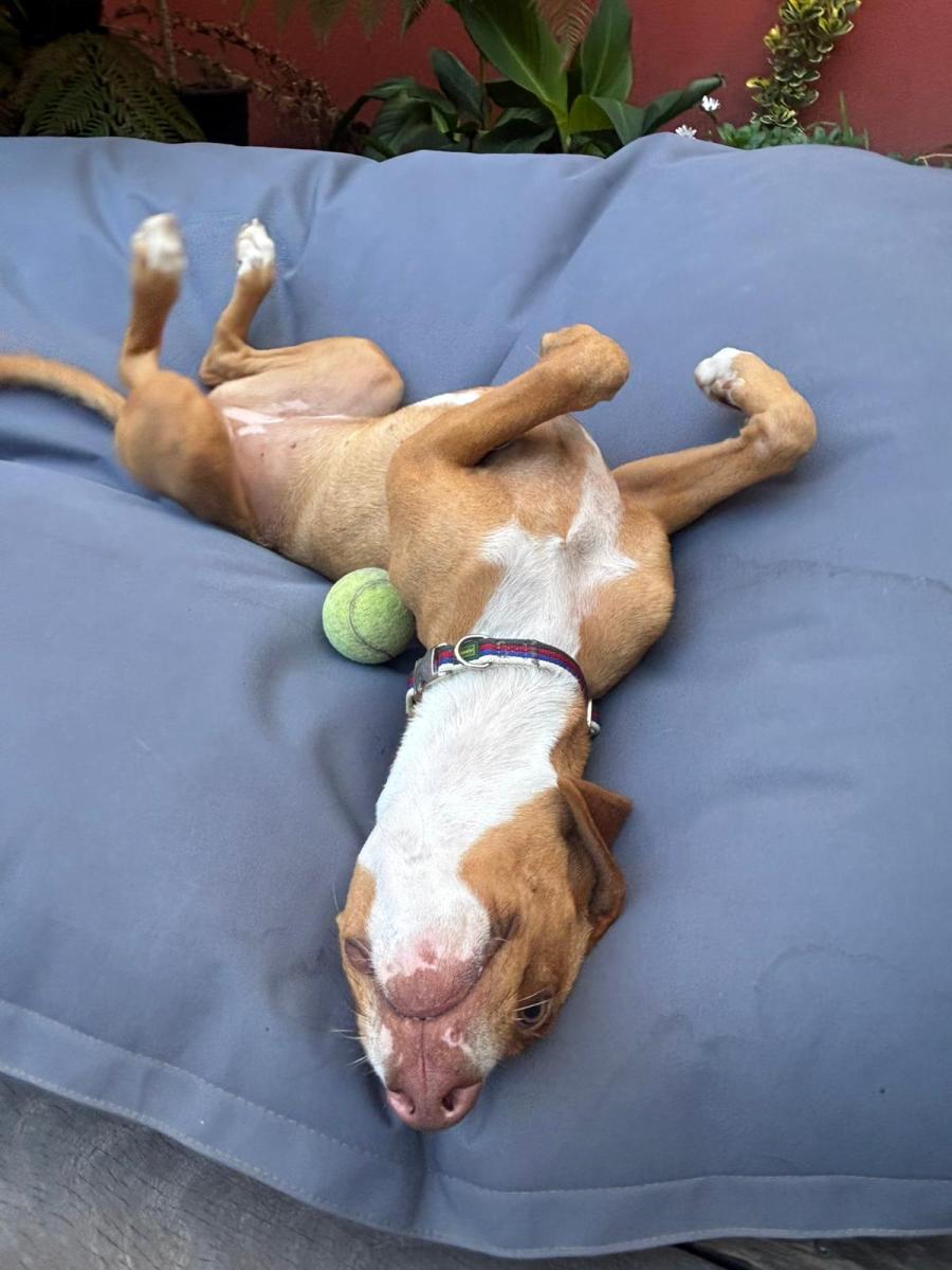 WhatsApp-Image-2025-06-11-at-2107122