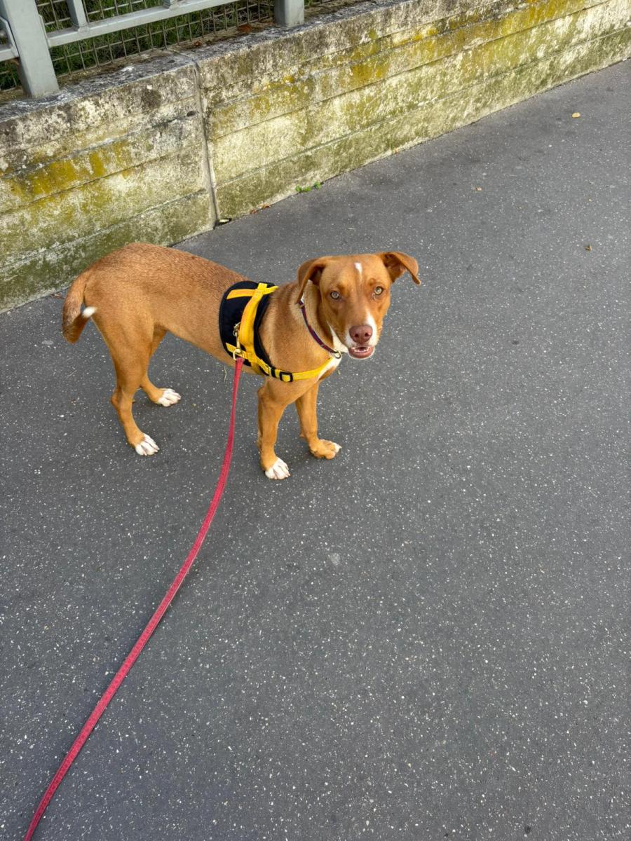 WhatsApp-Image-2025-06-12-at-181047