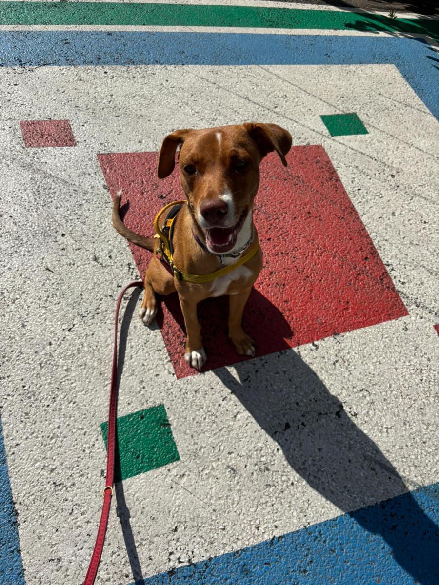 WhatsApp-Image-2025-06-12-at-181843