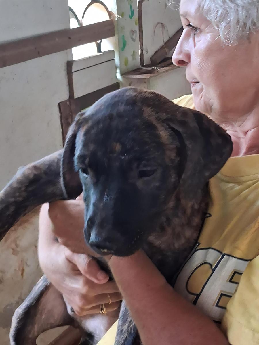 axel