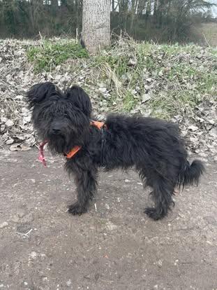 62917906112340303588620043135635216431060748n-1