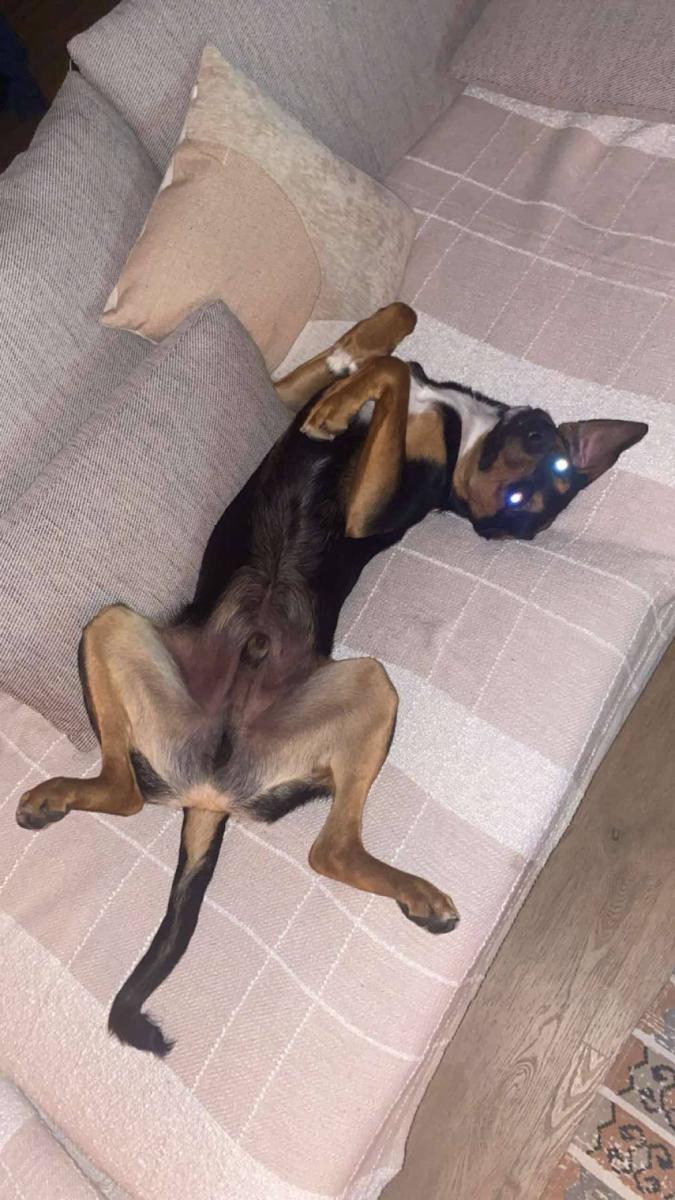 63111268612350087687641633490914424304324101n