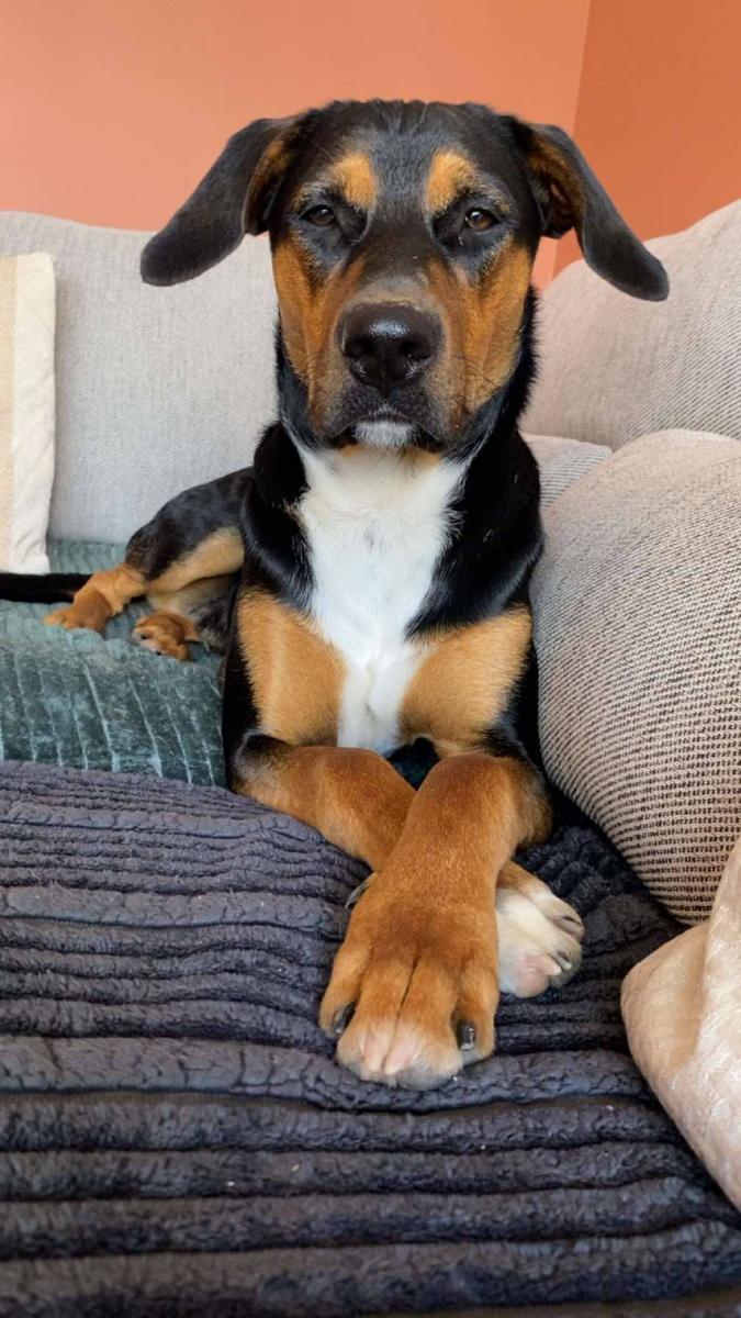 63158462812350086654308407550397816448419942n