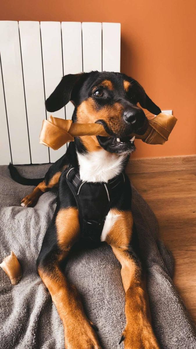 63180692512350086020975134218819854680632288n