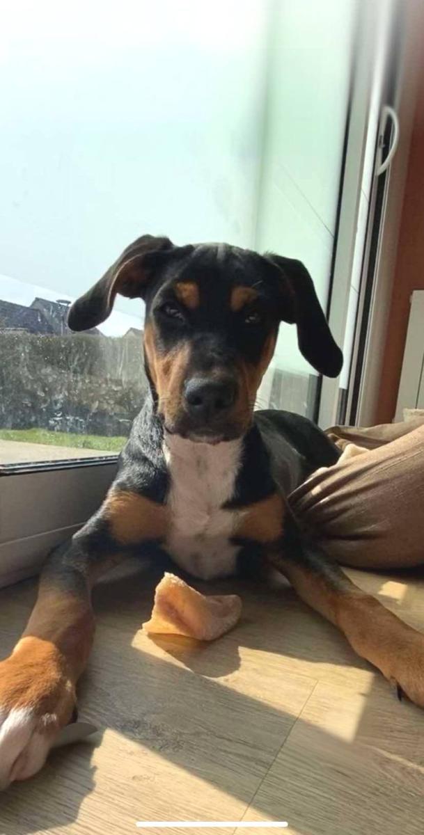 63208479812350085487641853202616999732279795n