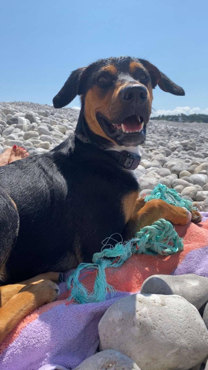 63215279412350087154308353636136474172762249n