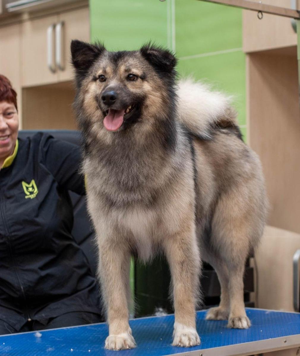 WhatsApp-Image-2026-02-16-at-090648