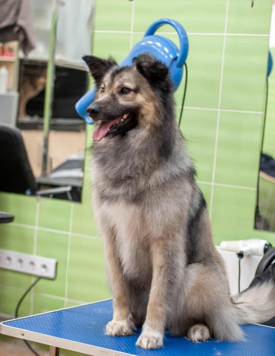 WhatsApp-Image-2026-02-16-at-09064801