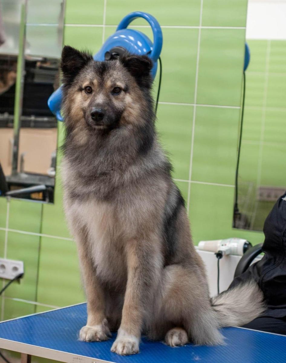 WhatsApp-Image-2026-02-16-at-090648089