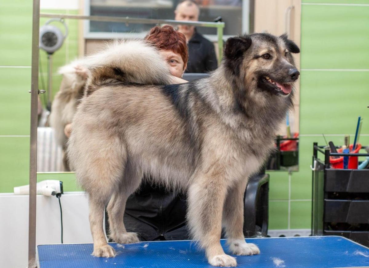 WhatsApp-Image-2026-02-16-at-09064879