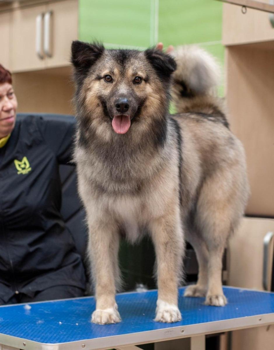 WhatsApp-Image-2026-02-16-at-0906488