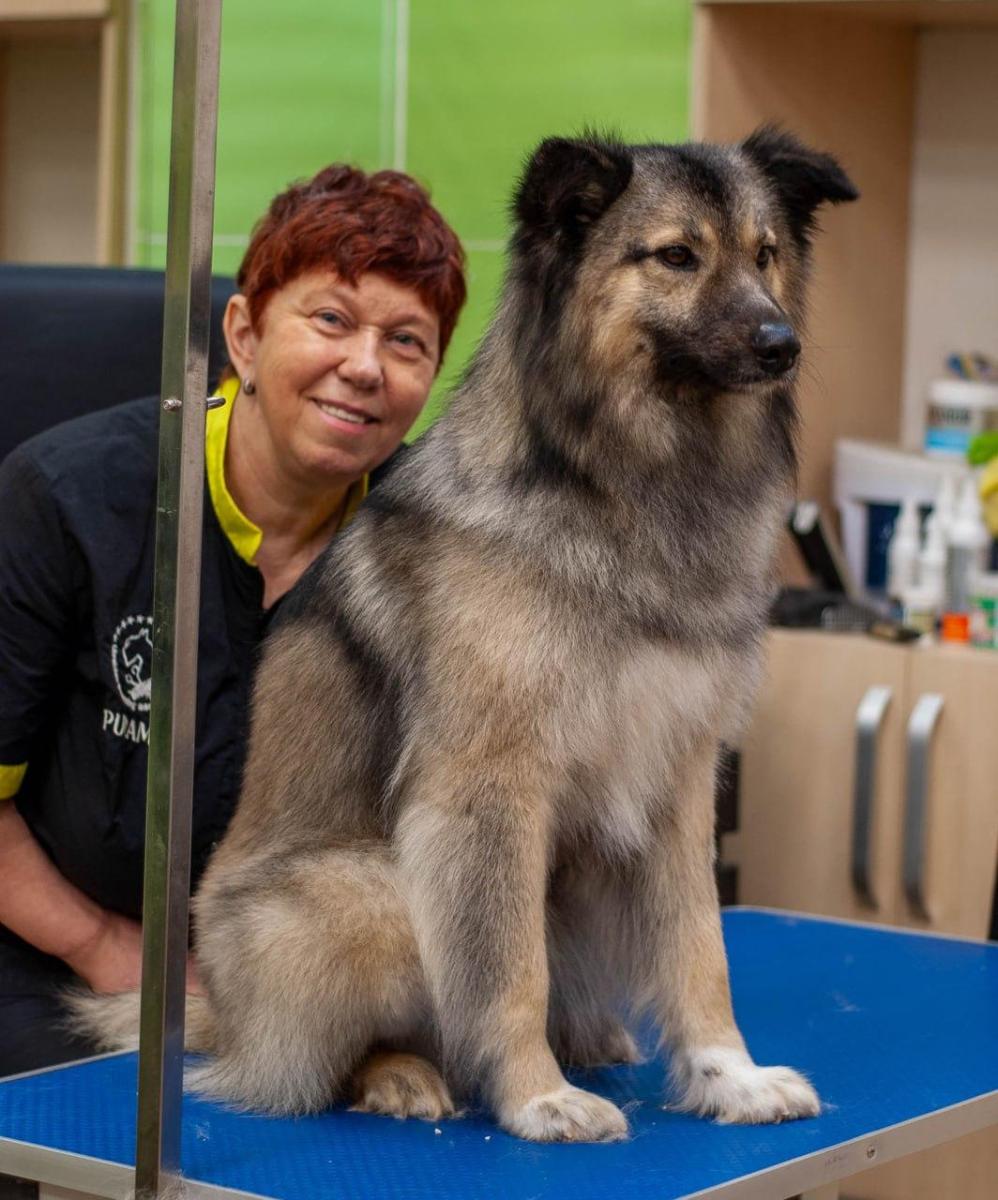 WhatsApp-Image-2026-02-16-at-090649096