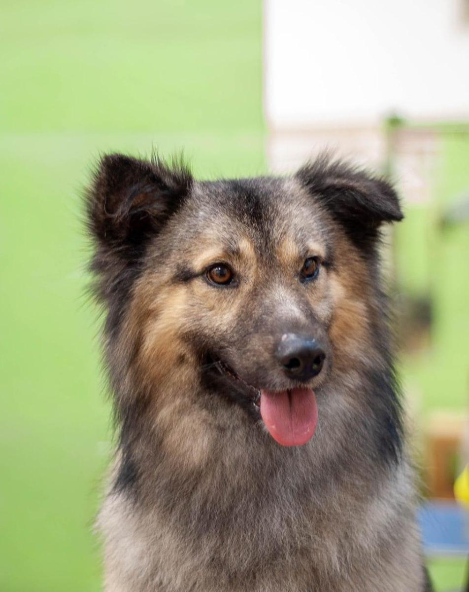 WhatsApp-Image-2026-02-16-at-09064996