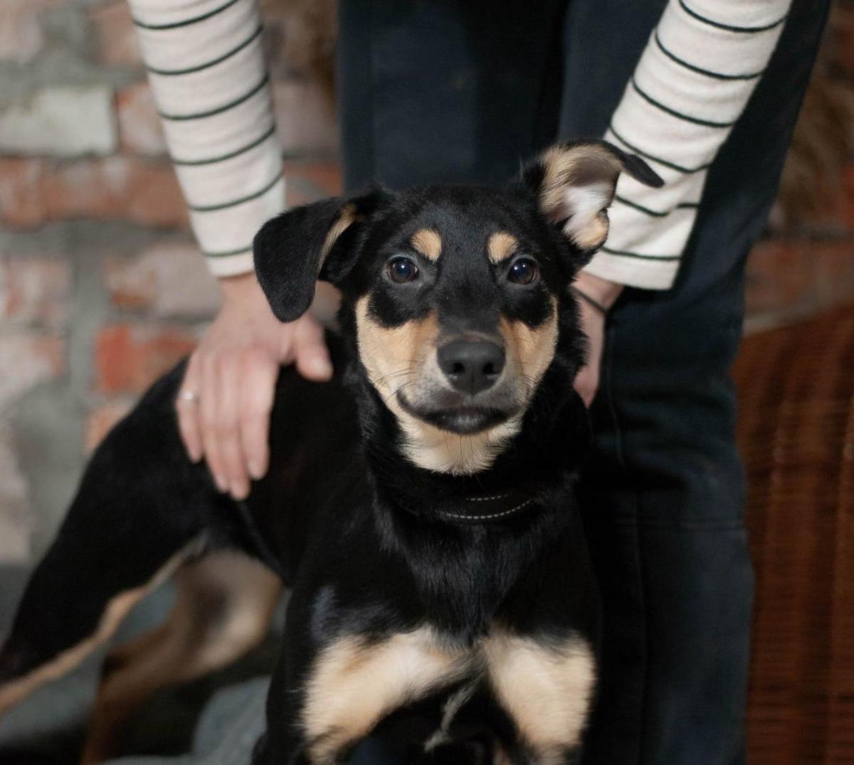 WhatsApp-Image-2026-03-14-at-10382206